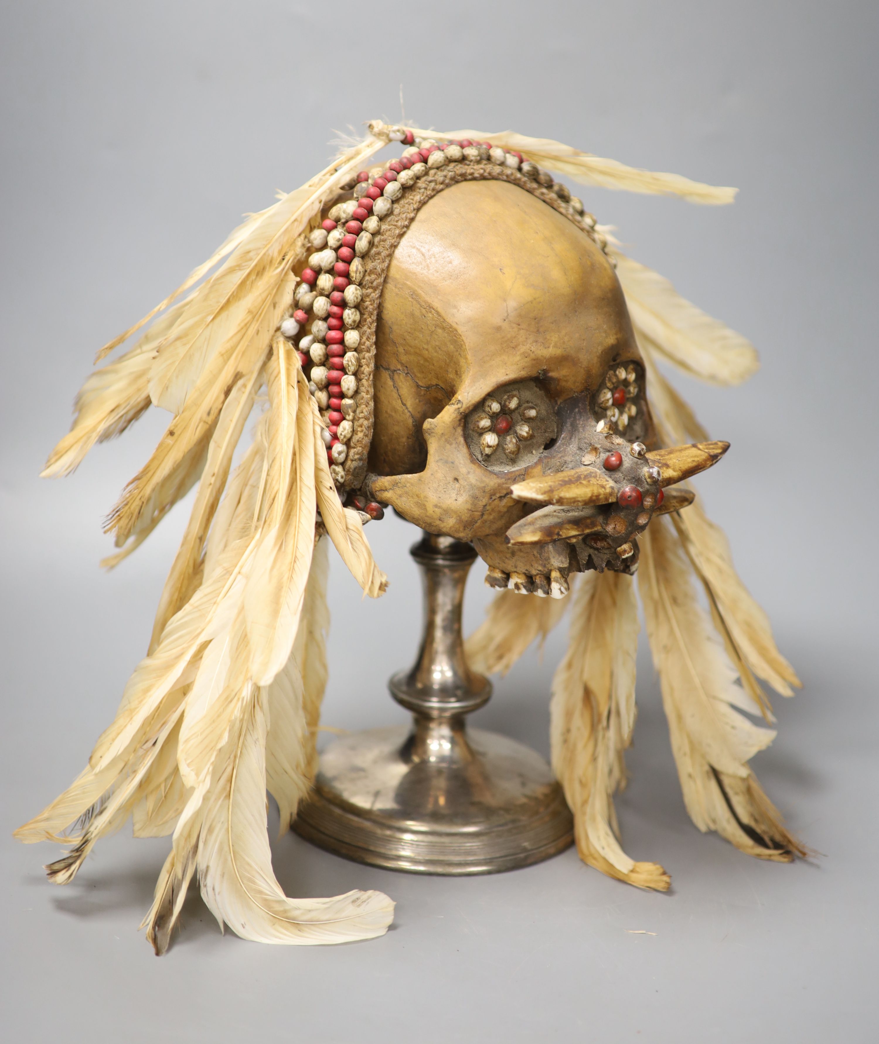 An Asmat ancestral skull, with beaded eyes and feather head-dress on stand